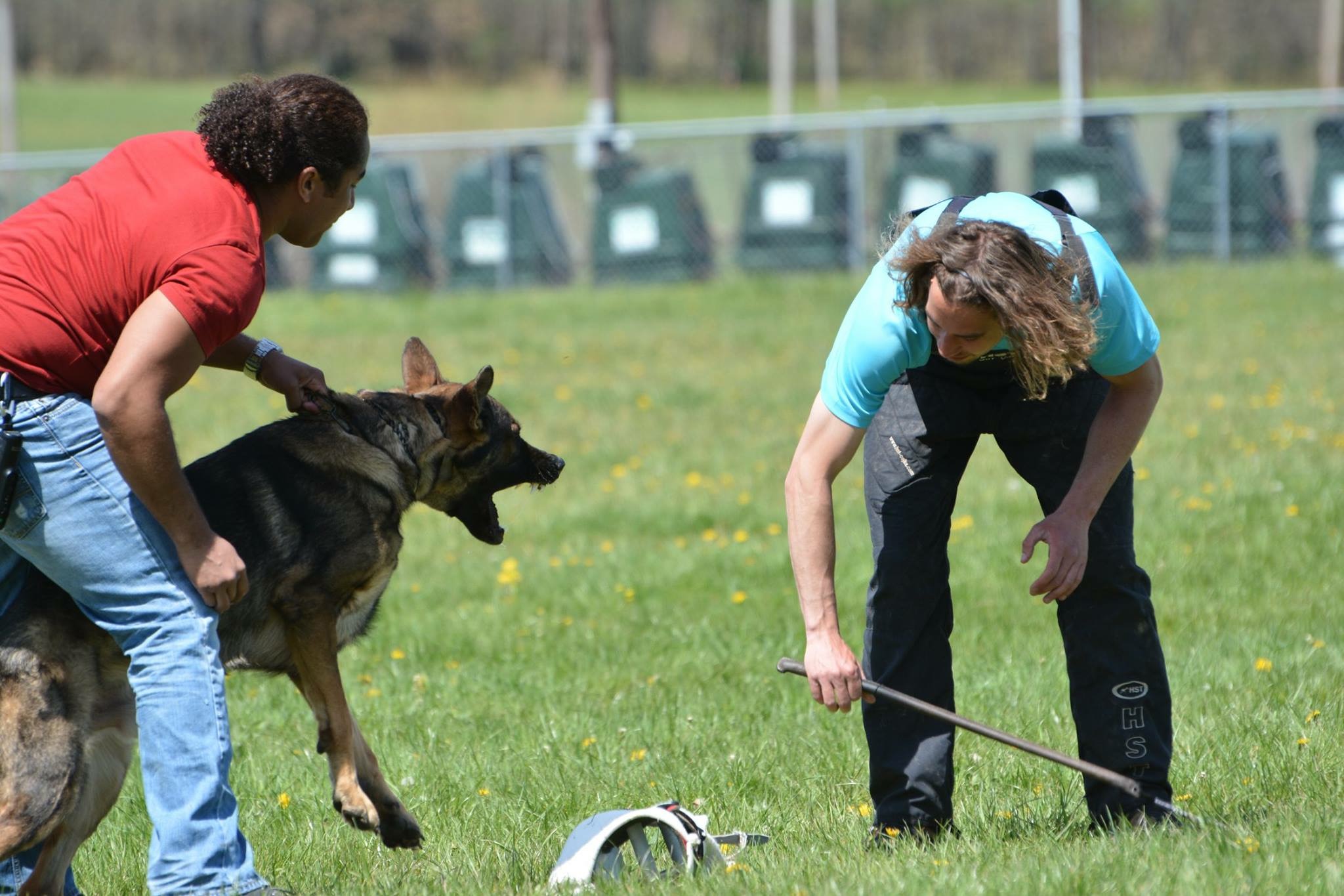 Personal Protection Dog training
